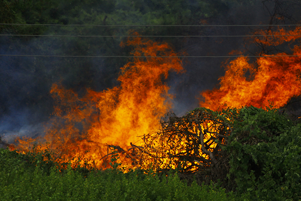 When the Smoke Clears: What South Florida’s Wildfires Tell Us About Commercial Real Estate Risk