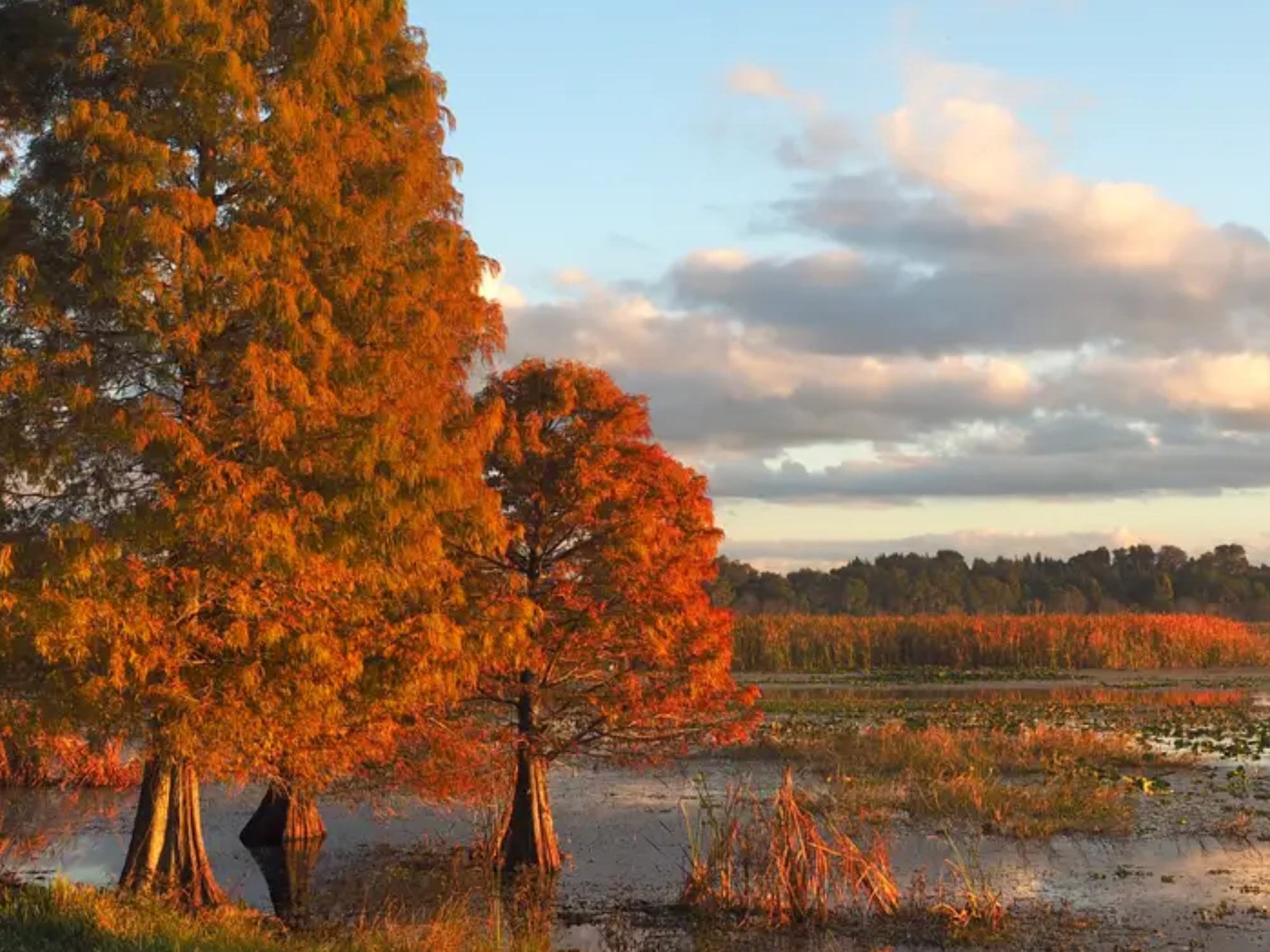 Falling Leaves, Rising Opportunities: Why Fall Can Be a Great Time to Buy Commercial Real Estate